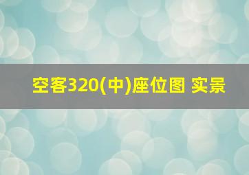 空客320(中)座位图 实景